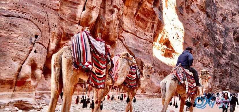 The Treasury Al-Khazneh in the ancient lost city of Petra Jordan