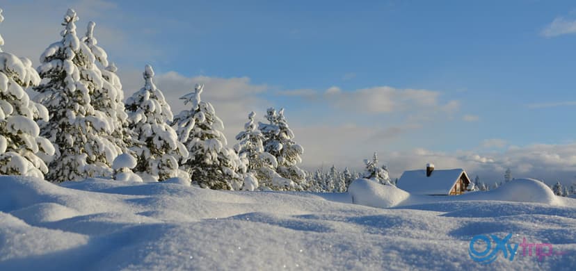 Top winter travel destinations for GCC residents vacation